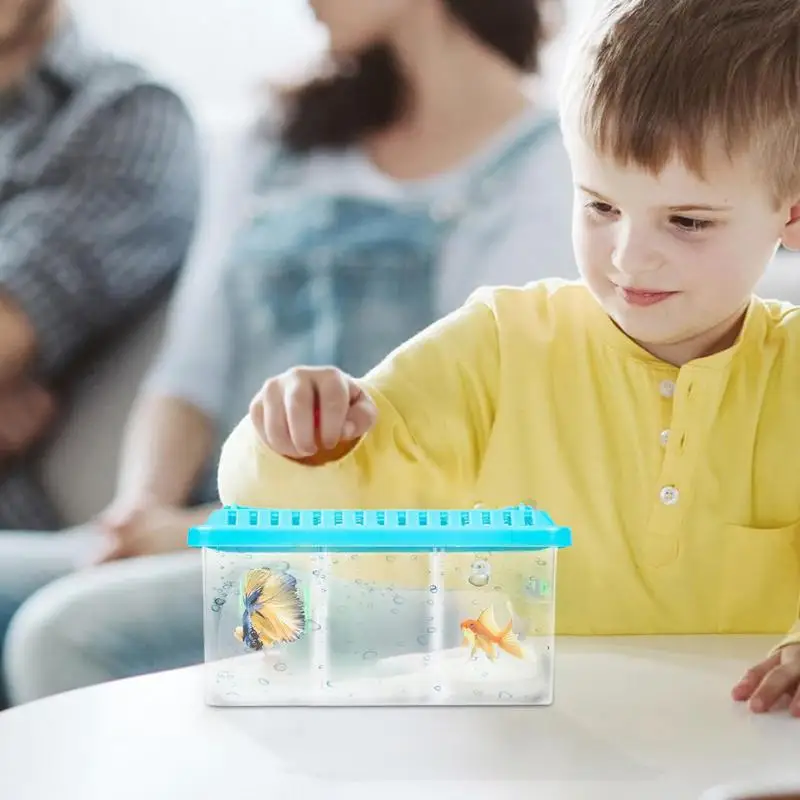 Betta Aquarium Transparent Fish tank Removable Dividers Small Fish Bowl Multi Compartment Layout decorative Aquarium