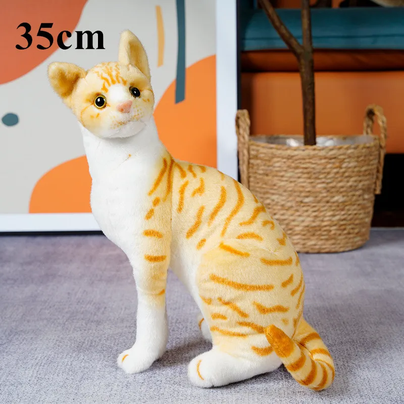 35cm sit orange