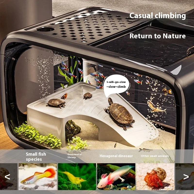Desktop Fish Tank Kit w Oxygenation and Filtration Systems 5