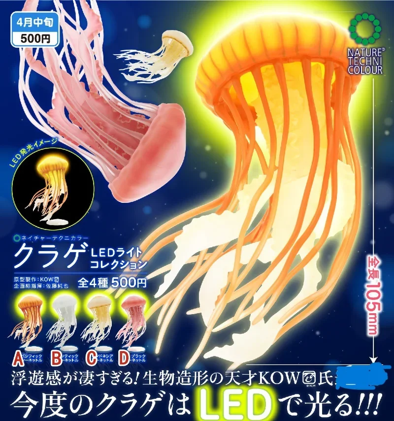 Jellyfish Fan Club box 4枚組 Jellyfish Fan Club box 4枚組
