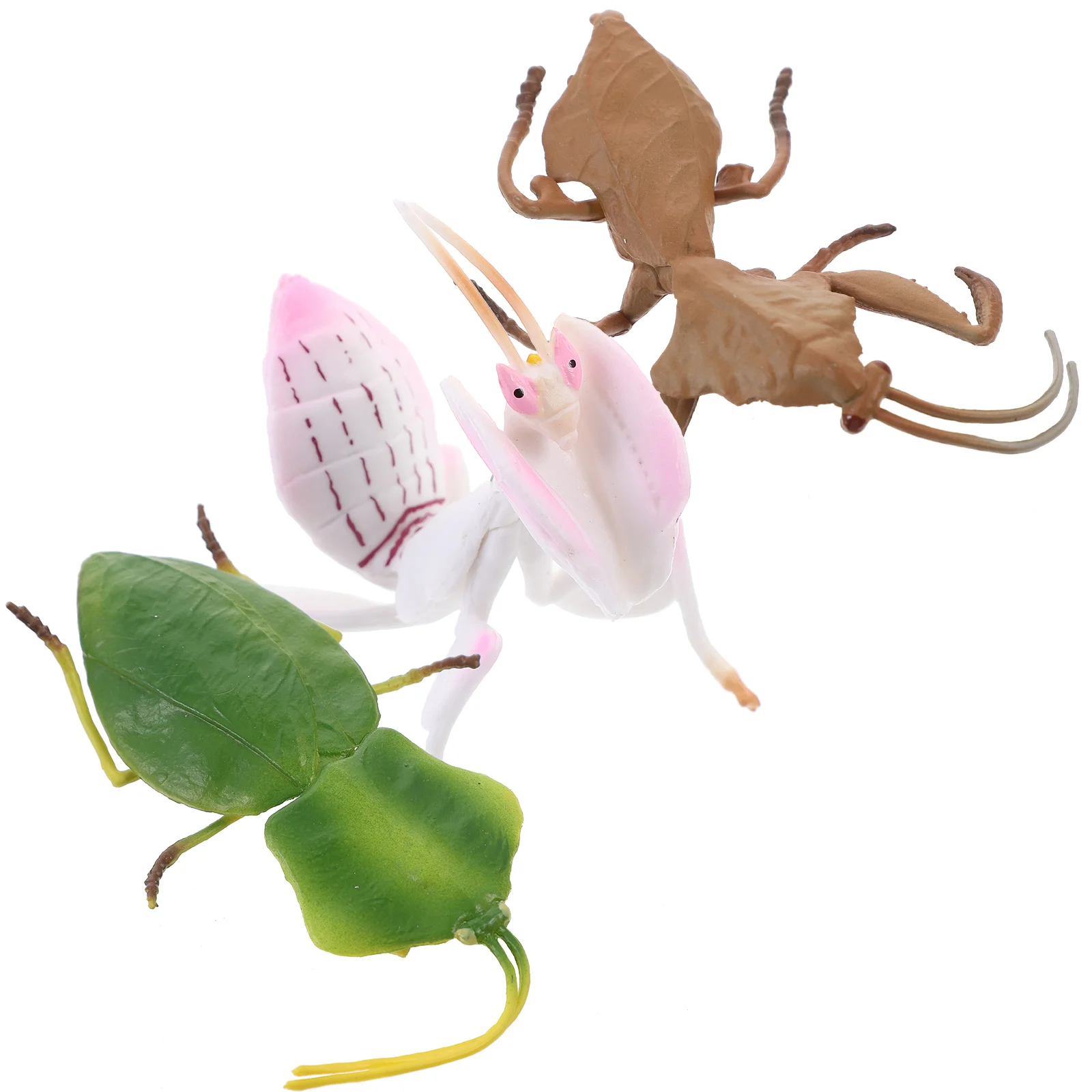 

Simulation Insect Model Lifelike Desktop Mantis Decoration Kids Toys Figurines Realistic Insects Artificial Ornament