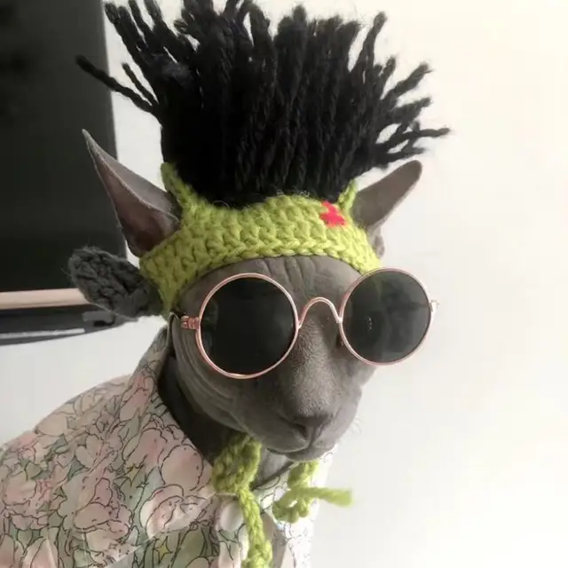 Funny Pet Hat Sphynx Devon Rex Cat Dog Headwear Punk Reggae Rock Style Cosplay Costume Decoration Accessory