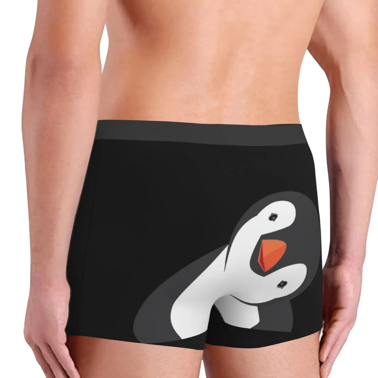 Cute Penguin Boys Underwear Funny Cartoon Animal Underwear