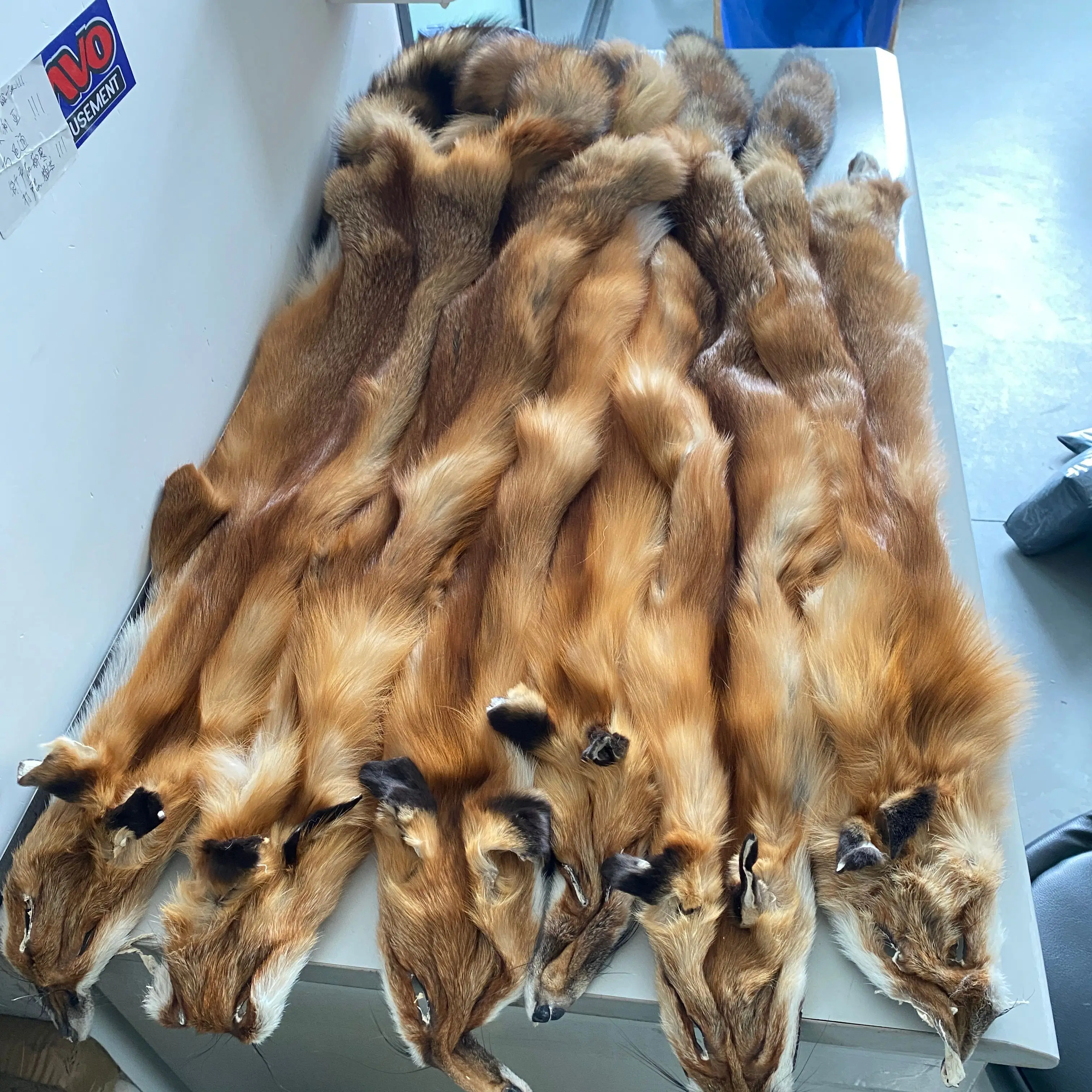 Red Fox Fur Pelt / Tanned Skins