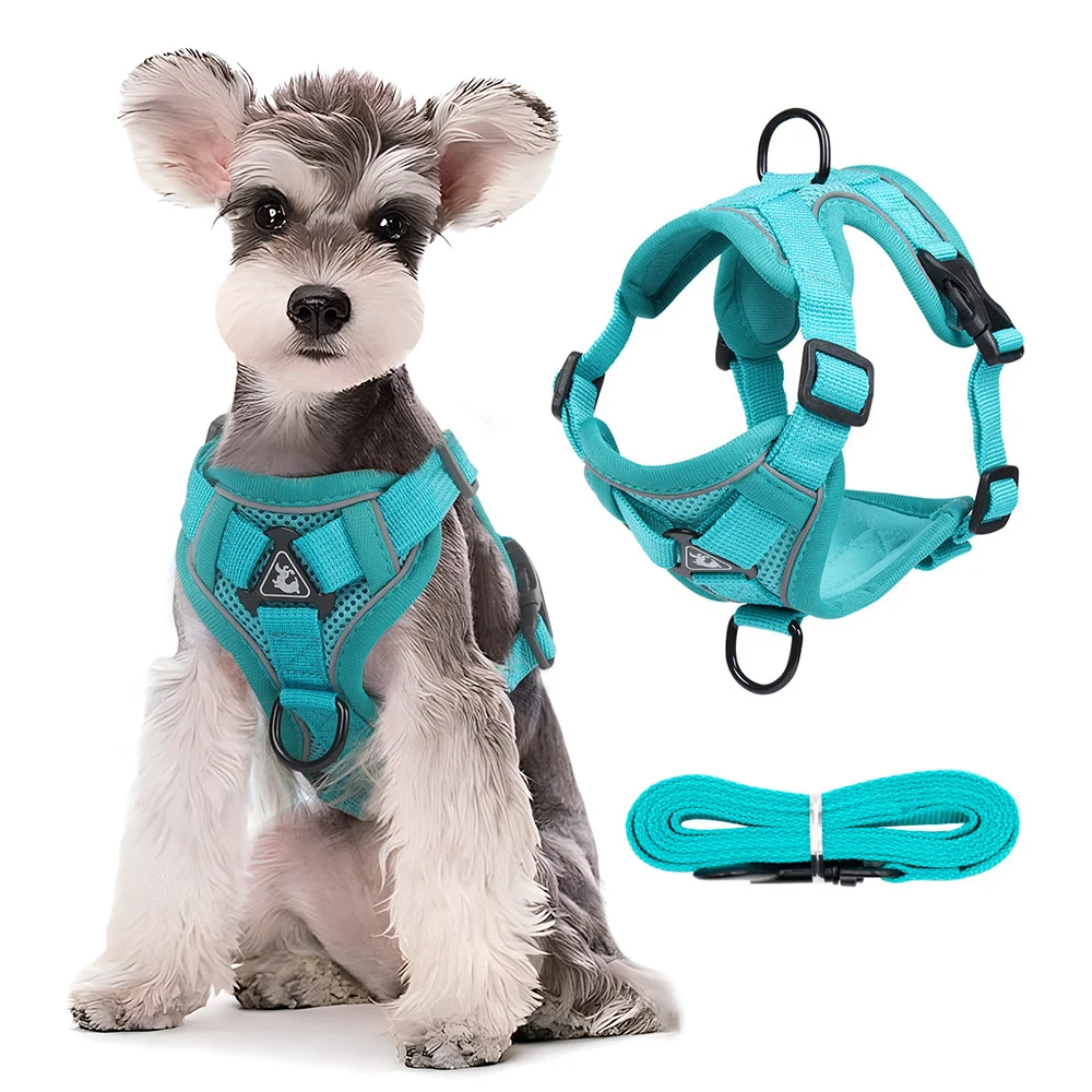 Set Harnais Laisse Réglable pour Chat Chiens Animal de Compagnie Rose