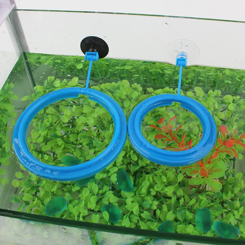 Floating Food Tray Feeder Aquarium Feeding Ring Fish Tank Station