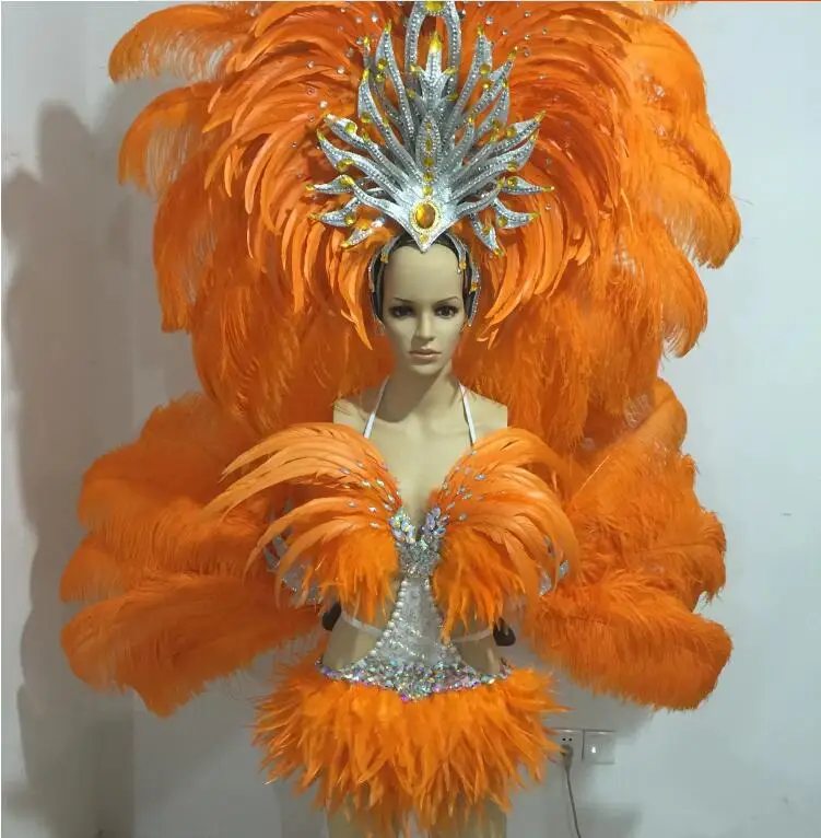 

Feather Dance Set Modern Samba Performance Dance Costume