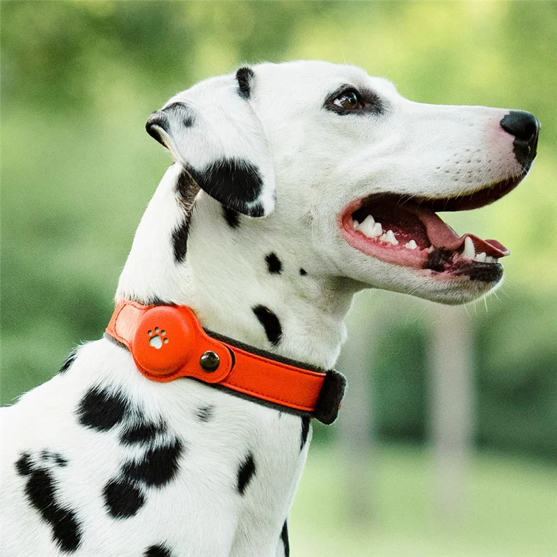 Location Pet Tracking Smart Collar Waterproof Only Works With For Find My Silver