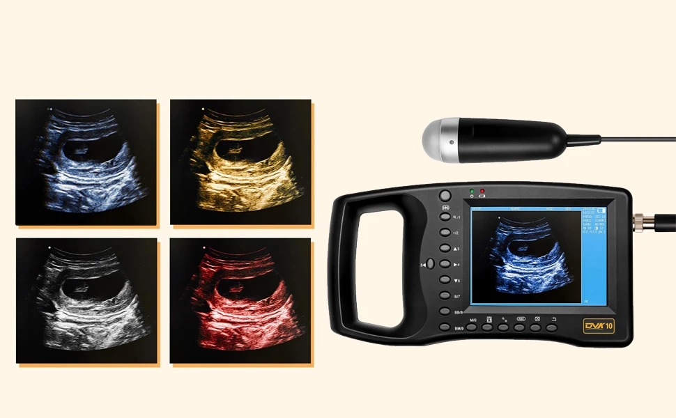 Portable Veterinary Ultrasound Scanner, Vet Pregnancy Ultra Machine with 3.5MHz
