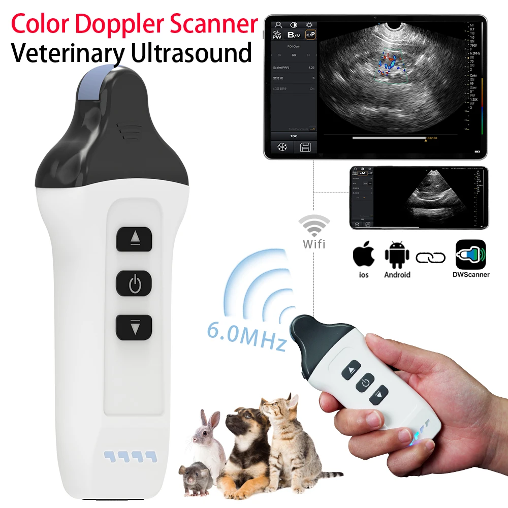 

Color Doppler Wlan Ultrasound Scanner Wireless 6.0MHz Convex Probe Portable Veterinary Machine for Rabbit Guinea Pig or Human