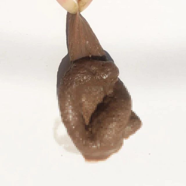 Fake Poop Funny Joke Tricky Toys Mischief Turd Gag Realistic Shits Poop Fake Turd Classic Antistress Gadget Squish Toys 3