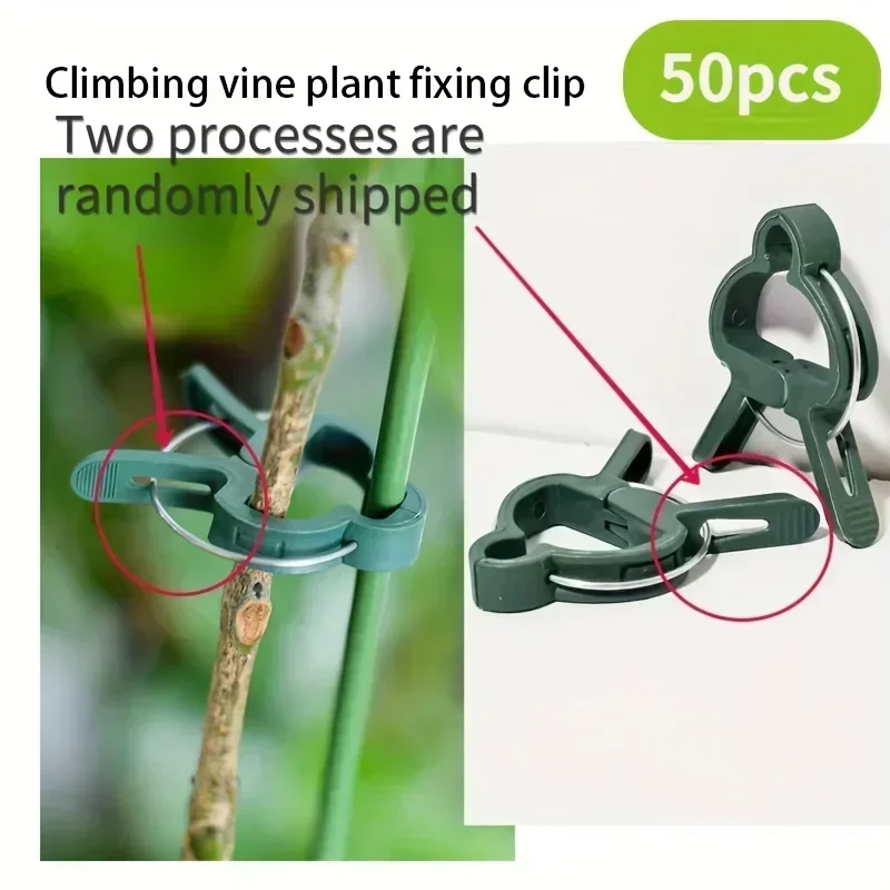 Durable Plastic Garden Plant Support Clips Green Lever Ring Clips Vines Organizing Stems & Branches 50pcs plastic plant clips plastic plant supports plant clips plant stem support plant support connector plant support stick