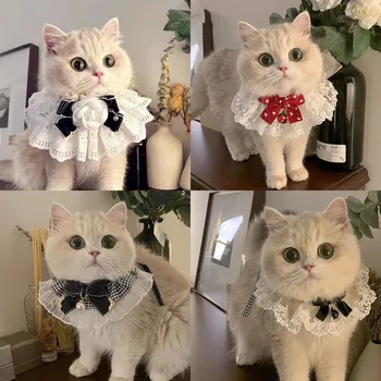 Lace Pet Bow Collar 1