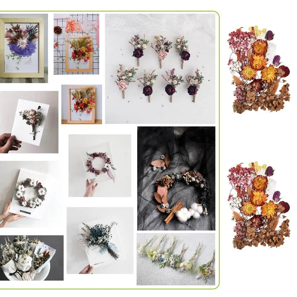 Trockene Blumen echte getrocknete gepresste Blumen getrocknete Blumen Blätter Masse für Kerzen Epoxiden Anhänger Halsketten Schmuck Handwerk Dekor – Detail 7