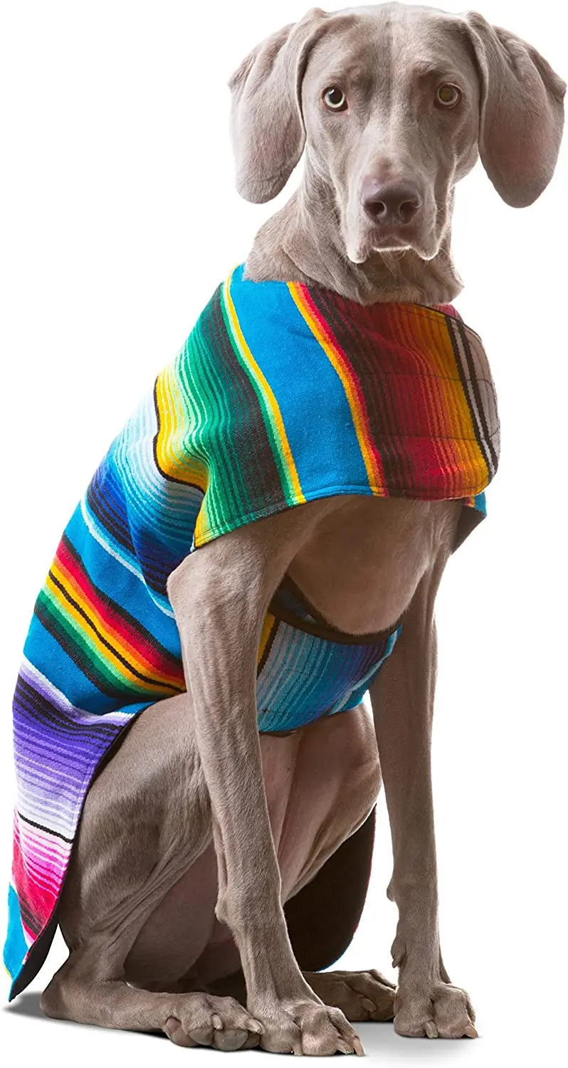 https://ae01.alicdn.com/kf/S07d6bb20be8d4a31945a70226965e507Q/Dog-Poncho-Handmade-Mexican-Serape-Blanket-Tie-Dye-Dog-Cape-Halloween-Christmas-Easter-Holiday-Costume-Pet.jpg