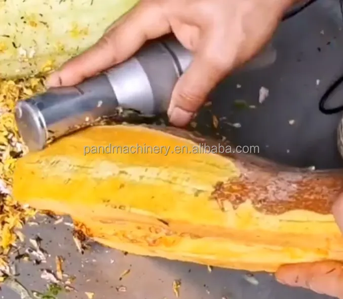 Hot Sale Electric Sugarcane Wax Gourd Squash Peeler Machine /coconut Brown Skin Peeler 5