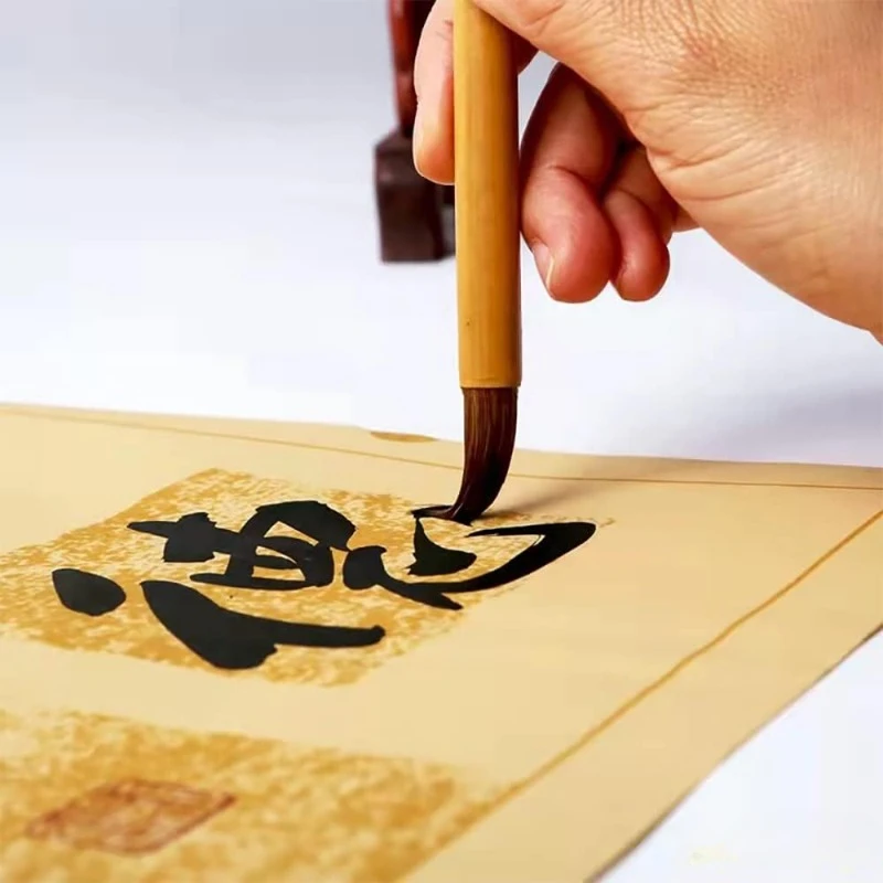 10Pcs Professional Chinese Calligraphy Brushes Set with Storage Bag Traditional Chinese Painting 6