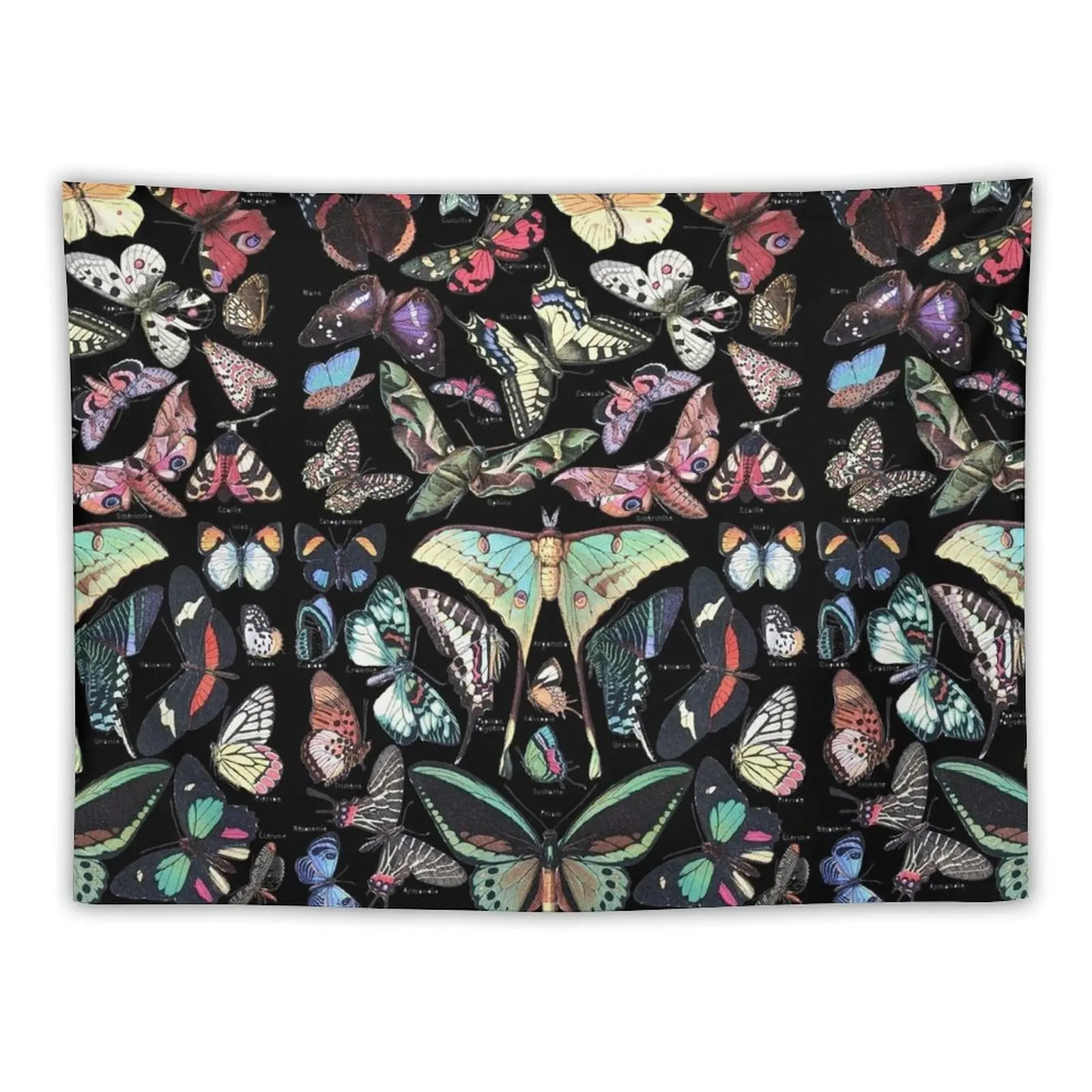 

COLORFUL BUTTERFLIES AND MOTHS IN BLACK Beauty Nature Collection Tapestry Decor For Room Tapestry