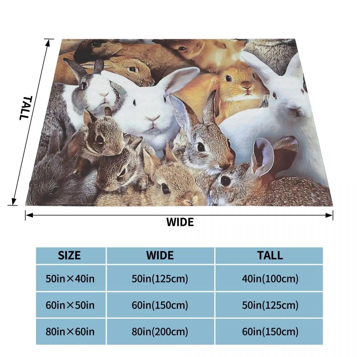 �Ϳ��� ������ ���� �䳢 �޴�� ������ ������ ���, ħ�� �����