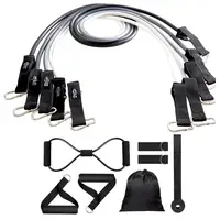 Workout Resistance Bands Trainer Suspension Straps Heavy Duty Adjustable Resistance Bands for Home Gym Garage Studio Yoga