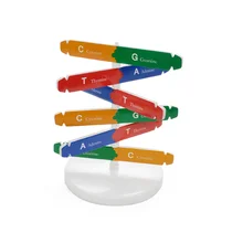 

Self Assembling DNA Display Stand Double Helix Model Human Genes Learning Biological Teaching Aid