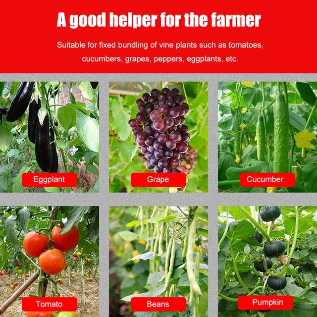 1 M/2M/3M Növényköteg Nylon Növényi Kötés Otthoni Kerti Szalaghorog Hurok Bambusz Cukornádtámasz Támogató Kiegészítők - Image 6