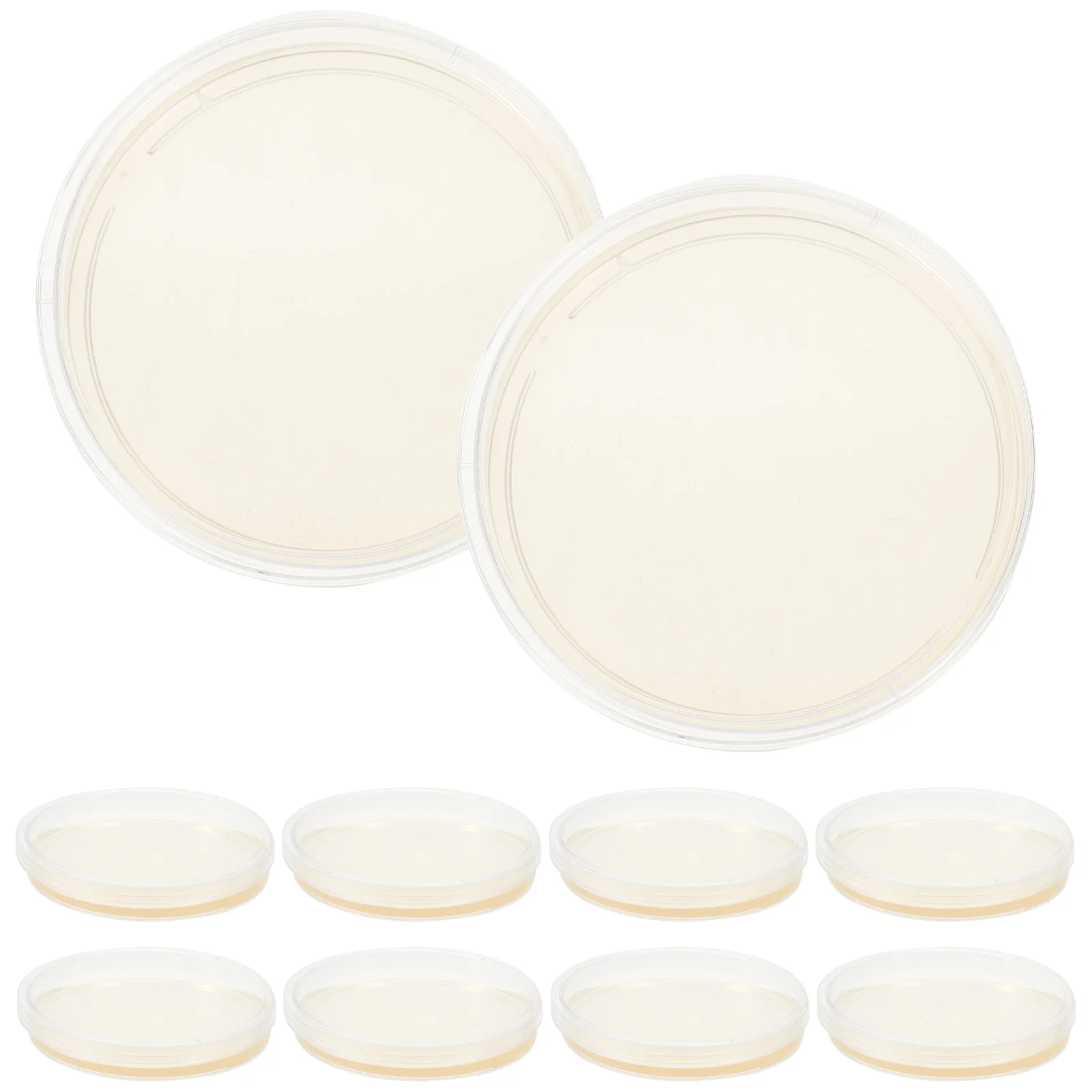 

Agar Petri Dishes Tissue Culture Prepoured Agar Plates Plate Agar Plates Laboratory Science Experiment Supplies