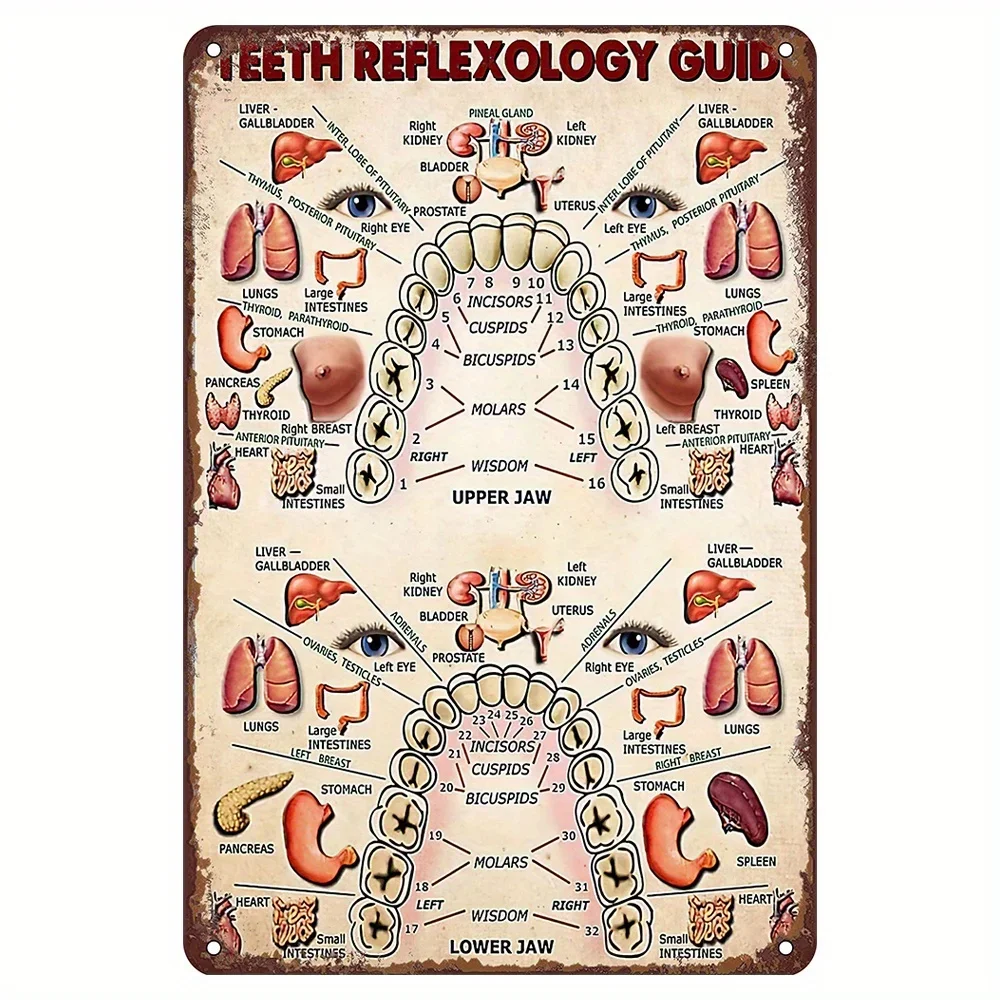 

Teeth Reflexology Guide Metal Tin Sign, Medical Gift For Dentist Vintage Tin Sign Funny Dental Hospital Home Bar Cafe Wall Decor
