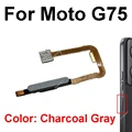 G75 Charcoal Gray