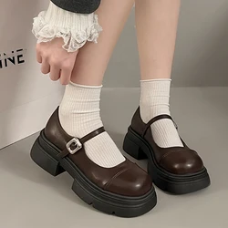 Platform Mary Jane Women Loafer Shoes Mid Heels Shallow Dress Lolita Shoes 2024 New Fashion Designer Spring Zapatos Para Mujer