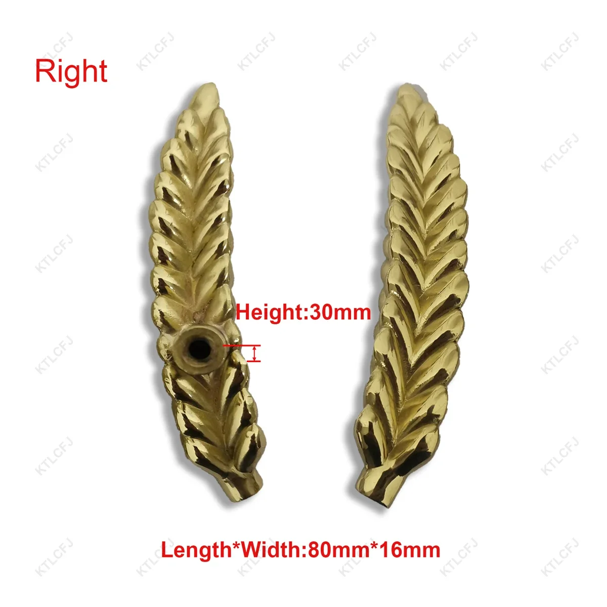 Ear of Wheat-Right