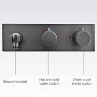 Minimalist ห้องน้ําปืนทองเหลืองสีเทาติดผนัง Thermostatic ก๊อกน้ําอาบน้ํา,ฝังน้ําตก Spout Anti-Scald Bath Mixer TAP 5