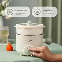 Mini Electric Rice Pot Multicooker Hotpot Stew Heating Pan Noodles Eggs Soup Steamer Rice Cookers Cooking Pot for Home 2