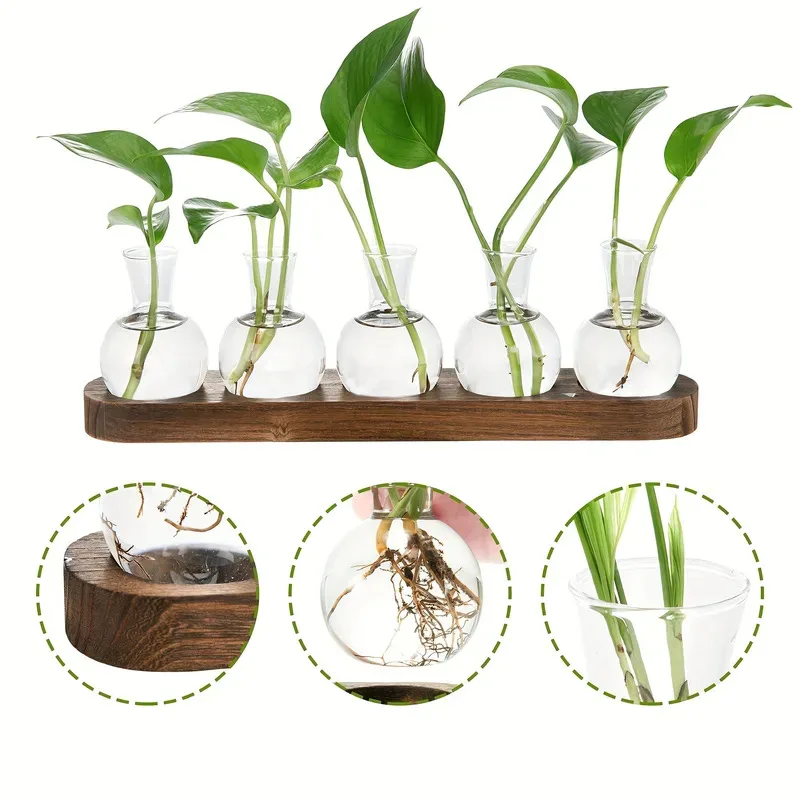 Glass Terrarium for Plants with Wooden Tray Indoor Propagation Hydroponic Vase Desktop Home Office Decoration