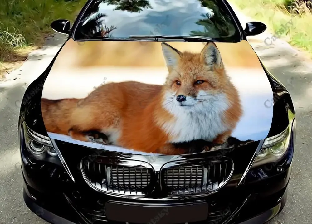 

Виниловые наклейки на капот автомобиля с изображением животных Красной лисы, виниловая пленка, наклейки на крышку двигателя, универсальная защитная пленка на капот автомобиля