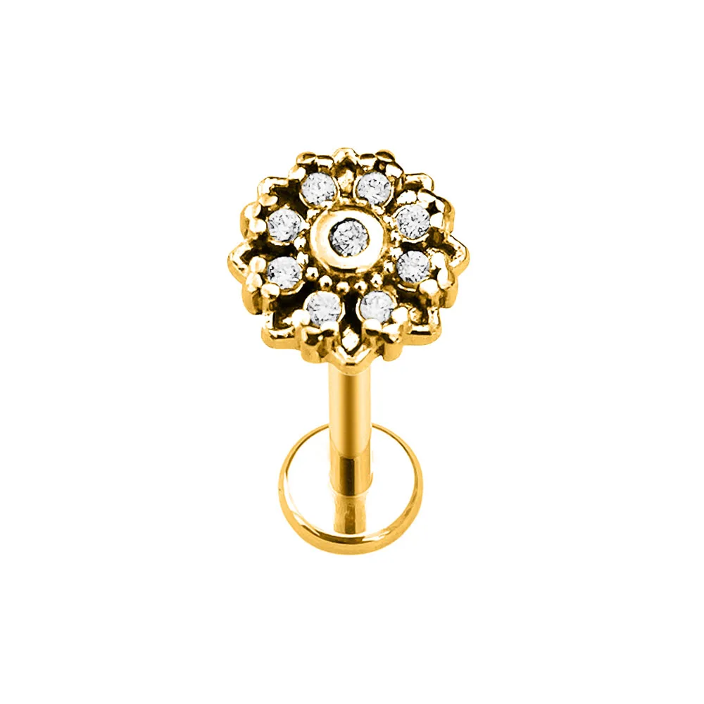 Heart Bird Flower Butterfly Labret Piercing Eye Shape Daith Conch Earring Teardrop CZ Lip Stud 316L Surgical Steel 16G