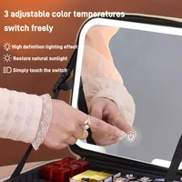 Travel LED Cosmetic Case With Light and Mirror Makeup Bag Large Capacity Premium Portable Cosmetic Bag Detachable Partition Bag 3