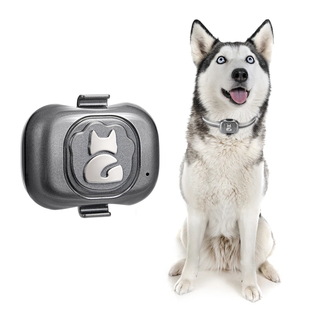 Localizador GPS Para Perros Gatos Mascotas Montable En Collar GSM  Recargable