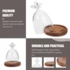 Angel Glass Cover Tabletop Display Case Bell Jar Eternal Flower Vase Gift Packaging Dome with Wood Base Landscape Plants 5