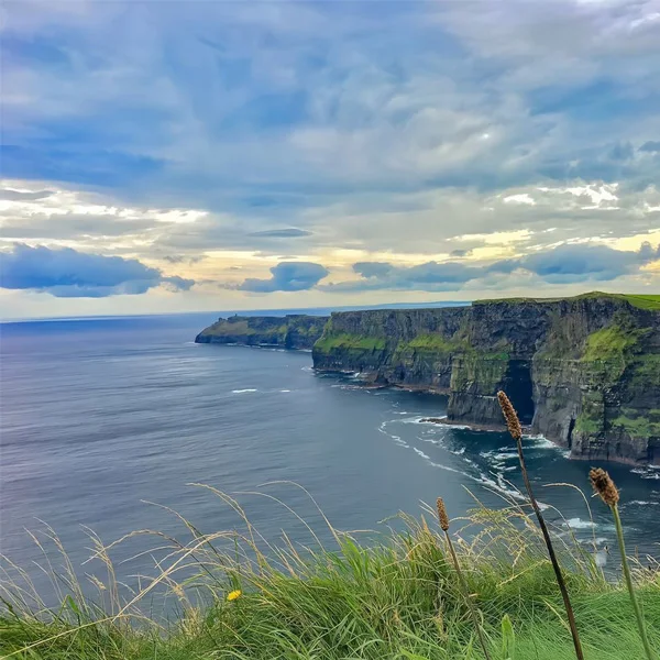 LingLing Small Store Store