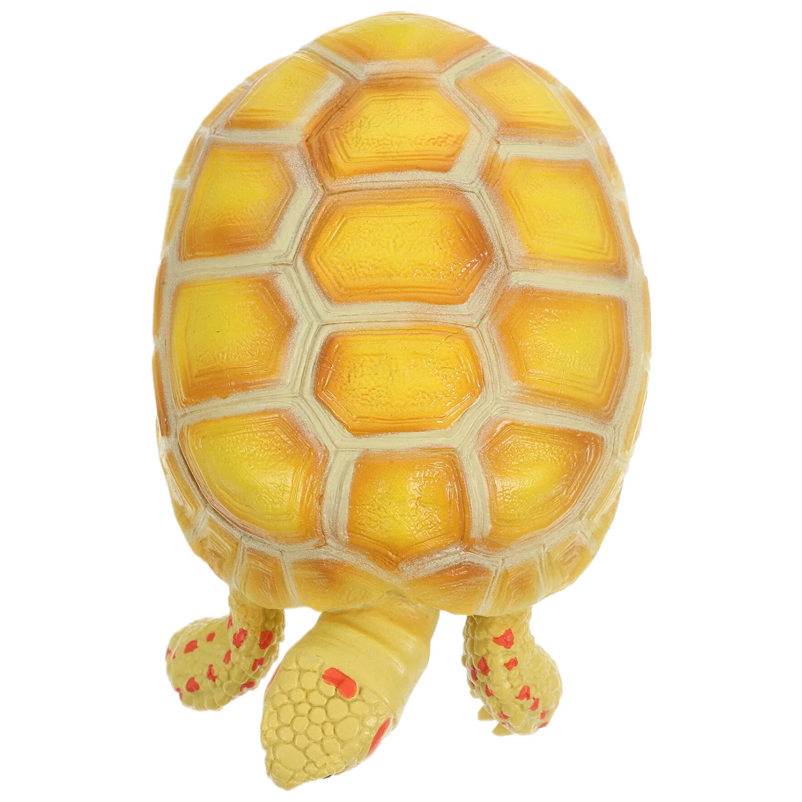 

Tortoise Model Decor Plastic Turtle Amphibious Decor Land Lifelike Cognitive Realistic Child