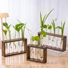 Simple Nordic Test Tube Glass Vase Decoration Creative Wooden Frame Hydroponic Plant Container Home Decoration 2