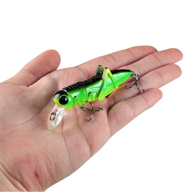 1Pcs Floating Grasshopper Fishing Lure 7.5cm 8g Plastic Insect Wobbler  Artificial Hard Bait Crankbait Bass