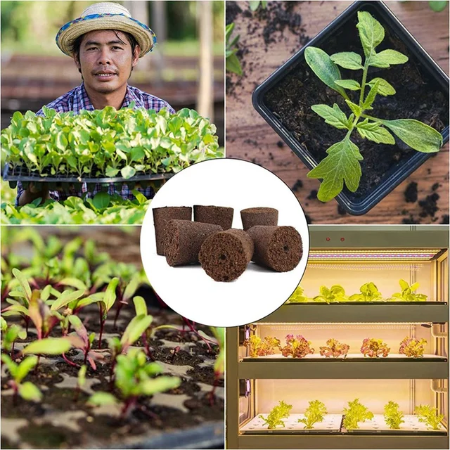 2X Növény Termesztése Szivacsok Kerti Hidroponikus Beltéri Intelligens Szivacs Tápanyagokkal, Csere Nő - Image 3