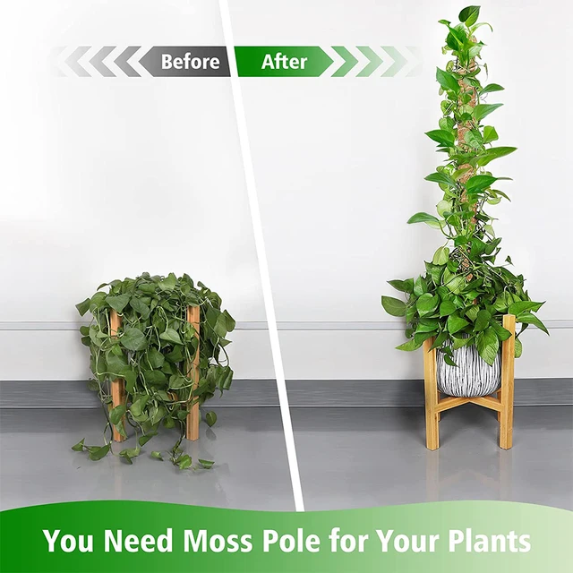 Diy Hajlítható Növényoszlopok Növényekhez Monstera Botok Támogatják A Beltéri Kiképzést, Hogy Felfelé, Kézzel Készített Tétek Mászáshoz Nőjenek - Image 4