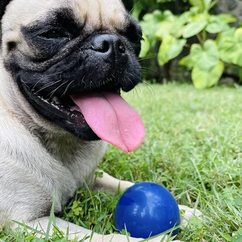SuperChewy Tough Dog Ball Toy Strong Natural Rubber Great Fetch Toy Durable Chew Toy for Aggressive Chewers Large Breed Tested 6