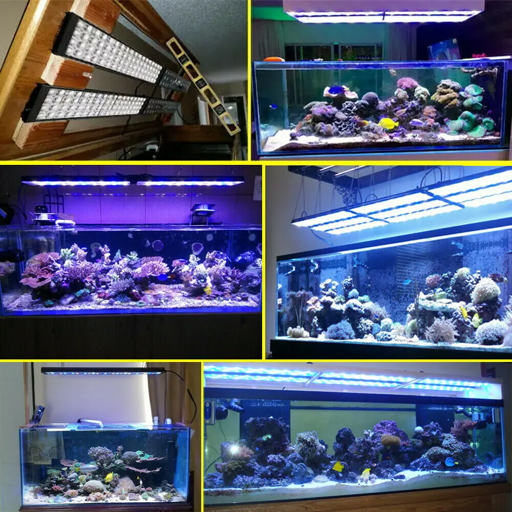 Aquarium Lamp PopBloom-Aquarium LED Lighting Full Spectrum For Reef Coral SPS/LPS Tank 90-180CM 36"/72" Turing75