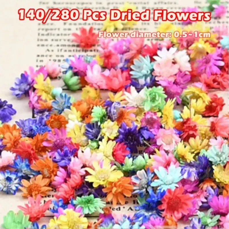 140pcs/280pcs Diy Art Dried Flowers Craft Epoxy Resin Making Jewlery Home Party Decorative Dry Flowers Jewelry Craft Making