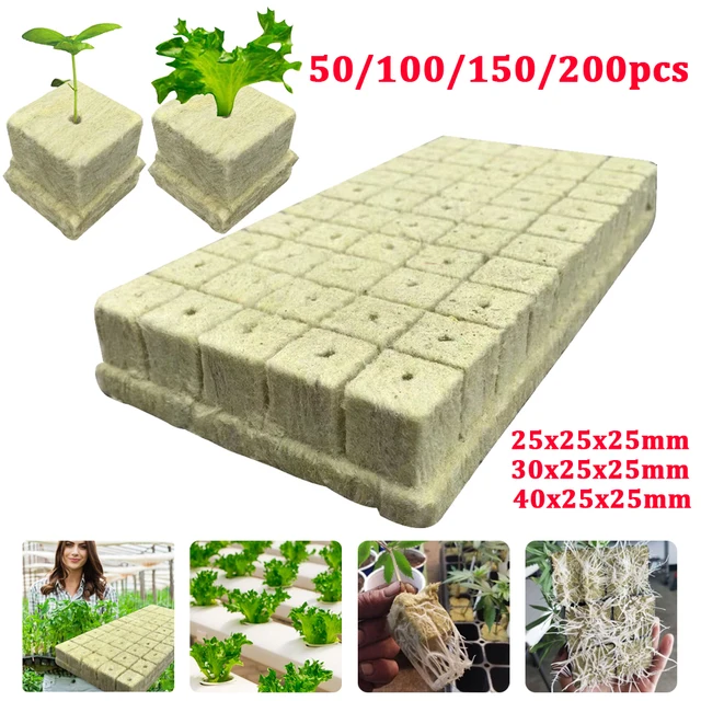 Jorzer 50pcs Poussez Les Éponges Graines De Démarrage des Gousses De  Croissance Racine Bouchons D'éponge pour Système Hydroponique Kit  Compatible avec Jardin Intérieur Compatible, 1.3*5.5 : : Jardin