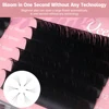 2/4/5/10 Trays Qeelasee Super Soft Blomming Lashes Easy Fan Eyelash Extensions Mega Volume Eyelashes Supplies for Eye Beauty 5